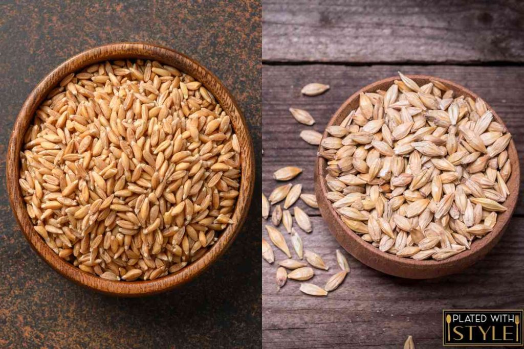 Farro Vs Barley