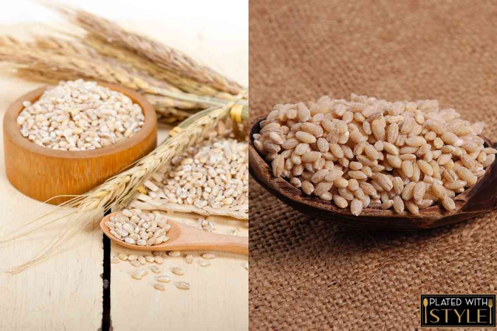 Barley Vs Pearl Barley